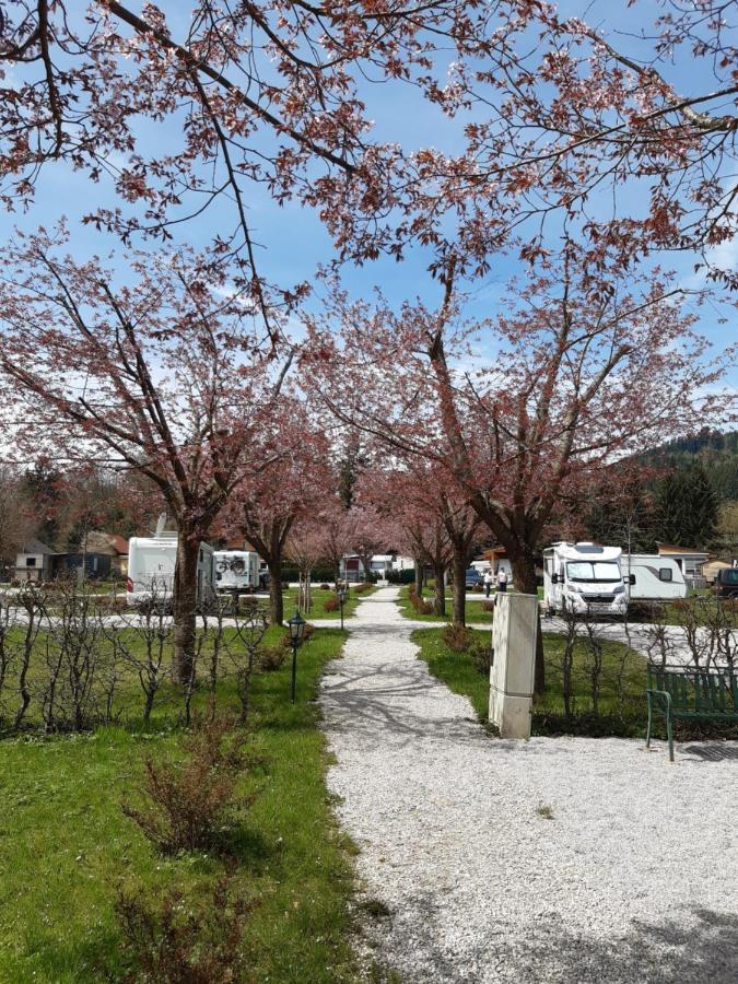 Campingfass Almtal Scharnstein Exterior photo